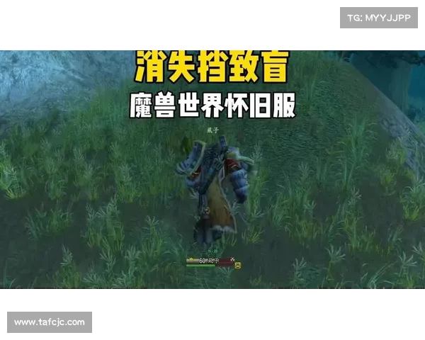 魔兽世界怀旧服猎人小号练级攻略